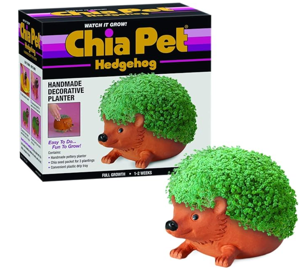 Chia Pet