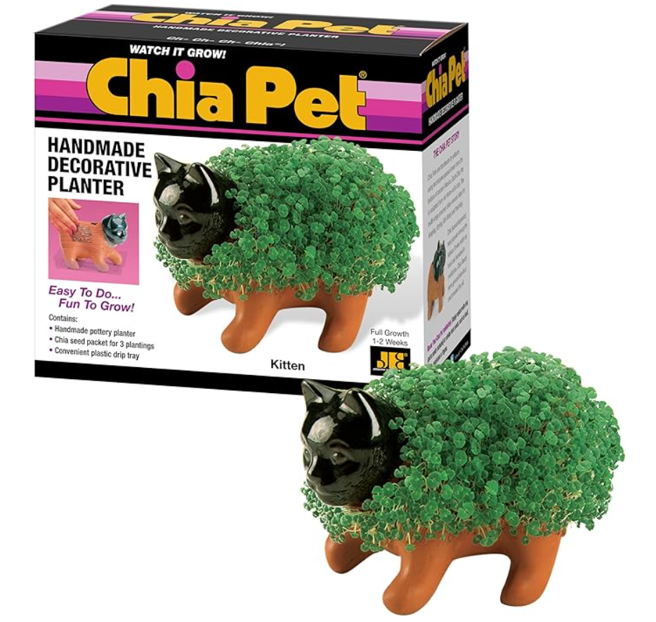Chia Pet