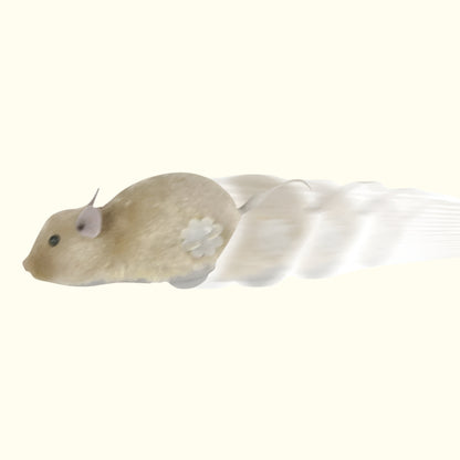 Wind-up Mouse